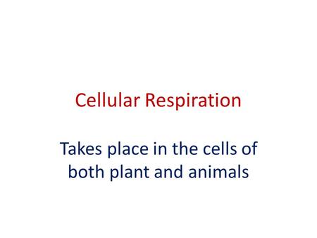 Takes place in the cells of both plant and animals