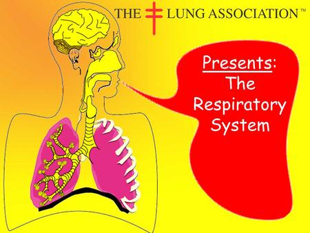 Presents: The Respiratory System The Lung Association of Saskatchewan © The respiratory system is what we use to breathe. It may seem simple to breathe,