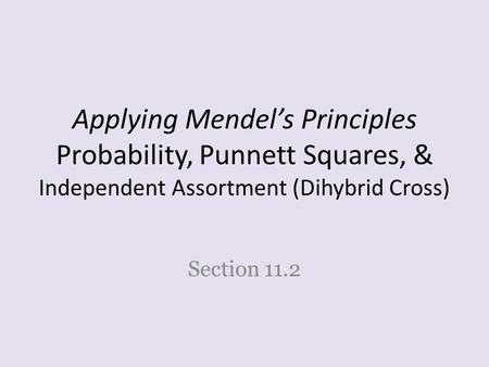 Applying Mendel’s Principles Probability, Punnett Squares, & Independent Assortment (Dihybrid Cross) Section 11.2.