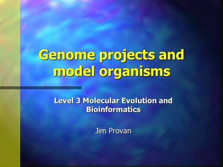 Genome projects and model organisms Level 3 Molecular Evolution and Bioinformatics Jim Provan.