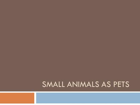 SMALL ANIMALS AS PETS. Objectives  List the questions a person should ask before buying a pet.  Compare the different options available for obtaining.