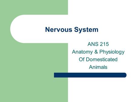 Nervous System ANS 215 Anatomy & Physiology Of Domesticated Animals.