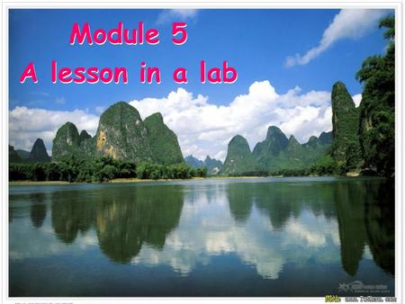Module 5 A lesson in a lab.
