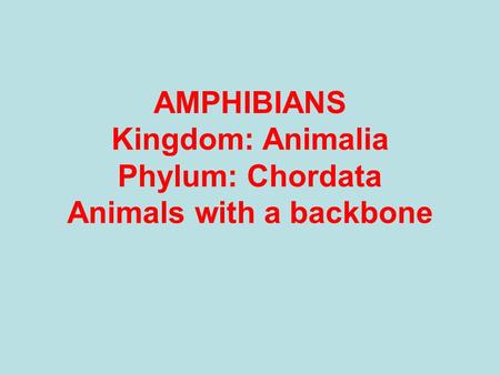 AMPHIBIANS Kingdom: Animalia Phylum: Chordata Animals with a backbone.