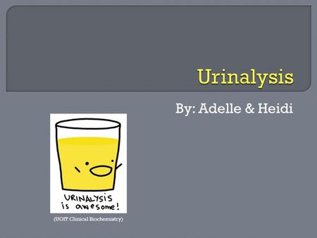 Urinalysis By: Adelle & Heidi Urinalysis by Adelle and Heidi
