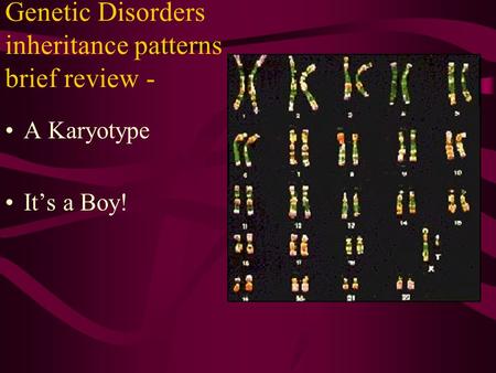 Genetic Disorders inheritance patterns brief review - A Karyotype It’s a Boy!