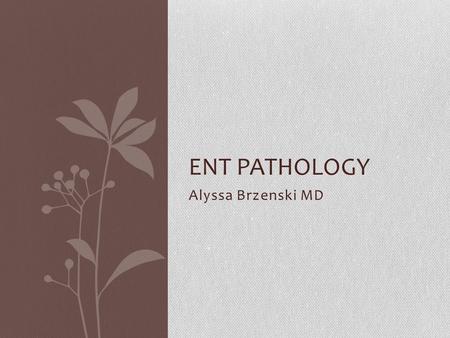 Alyssa Brzenski MD ENT PATHOLOGY. Case A 34 week old premature baby boy was born vaginally to a young mother with chorioamnioitis. At birth the baby was.
