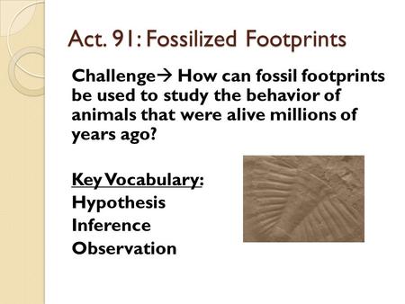 Act. 91: Fossilized Footprints