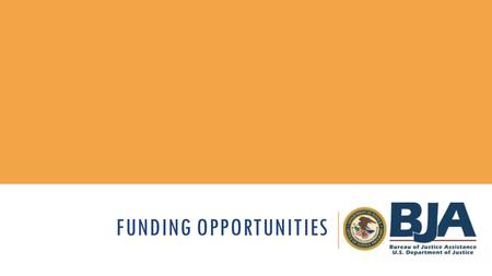 FUNDING OPPORTUNITIES. BACKGROUND New category of funding in the FY13 Harold Rogers Prescription Drug Monitoring Program Official title is “Category 3:
