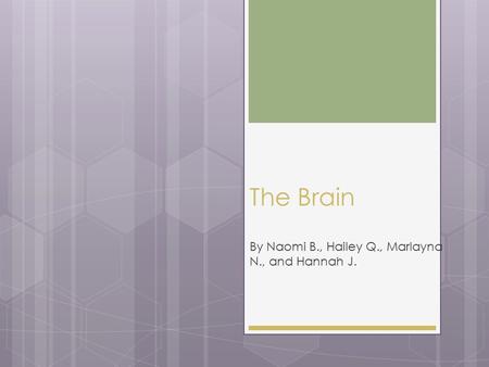 The Brain By Naomi B., Hailey Q., Marlayna N., and Hannah J.