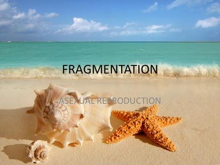 FRAGMENTATION ASEXUAL REPRODUCTION. Pieces from the parent break off and form a new organism identical to the original parent.