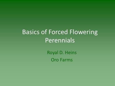 Basics of Forced Flowering Perennials Royal D. Heins Oro Farms.