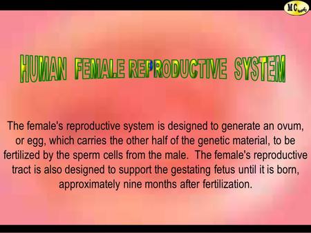 presentation on female reproductive system