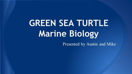 GREEN SEA TURTLE Marine Biology Presented by Austin and Mike.