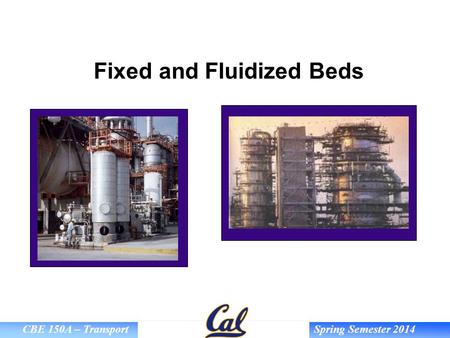 Fixed and Fluidized Beds