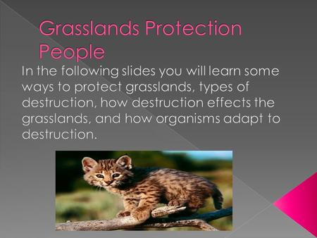 Grasslands Protection People