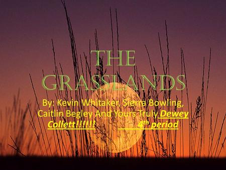 The Grasslands By: Kevin Whitaker, Sierra Bowling, Caitlin Begley And Yours Truly Dewey Collett!!!!!! 4 th period.