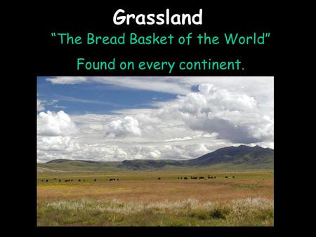 Grassland “The Bread Basket of the World” Found on every continent.