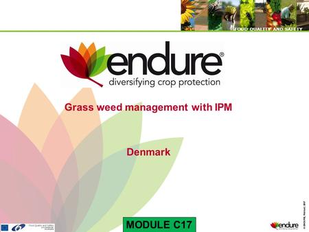 © ENDURE, February 2007 FOOD QUALITY AND SAFETY © ENDURE, February 2007 FOOD QUALITY AND SAFETY Grass weed management with IPM Denmark MODULE C17.