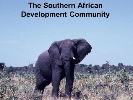 The Southern African Development Community. SADC Countries Name three national leaders in SADC countries. Which countries have had civil war in the past.