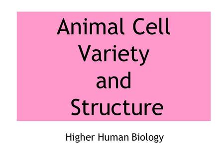 Animal Cell Variety and Structure