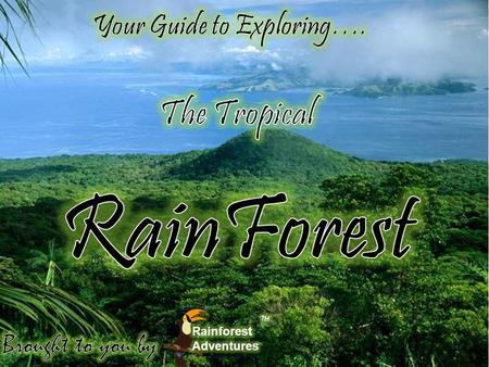 RainForest The Tropical Your Guide to Exploring…. Brought to you by: ™