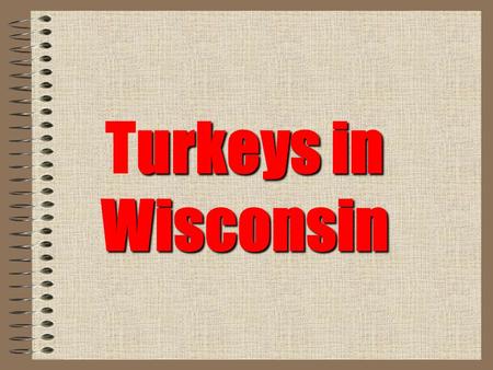 Urkeys in Wisconsin Turkeys in Wisconsin. Description Wisconsin’s largest game bird Ave. length Males are 48” & females 36” Weight males 18-25 lbs..
