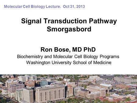 Signal Transduction Pathway Smorgasbord Ron Bose, MD PhD Biochemistry and Molecular Cell Biology Programs Washington University School of Medicine Molecular.