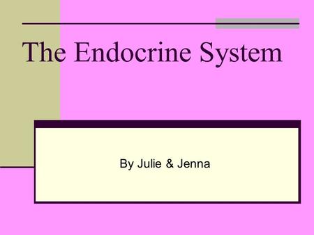 The Endocrine System By Julie & Jenna. Overall Function Comprised of ductless glands that secrete hormones Hormones are “chemical messengers” that transfer.