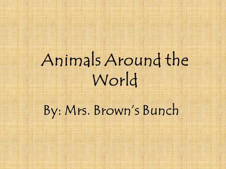 Animals Around the World By: Mrs. Brown’s Bunch. Spider Monkey *Monkeys have a sense of fairness. *They are highly social animals.