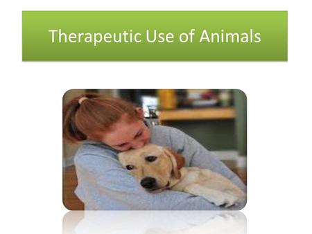 Therapeutic Use of Animals. Service Dogs used for the following: 1.Guide - Visual 2.Hearing – trained to alert 1.Alert by touch and lead them to everyday.