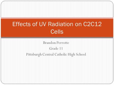 Brandon Perrotte Grade 11 Pittsburgh Central Catholic High School Effects of UV Radiation on C2C12 Cells.