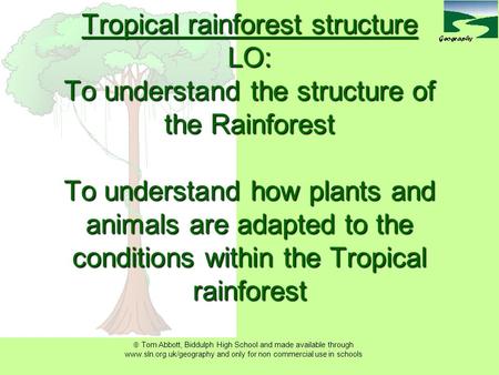 Tropical rainforest structure LO: To understand the structure of the Rainforest To understand how plants and animals are adapted to the conditions within.
