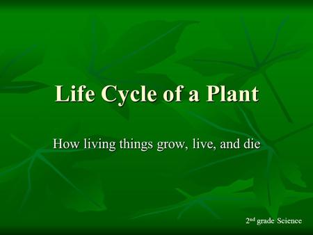 How living things grow, live, and die