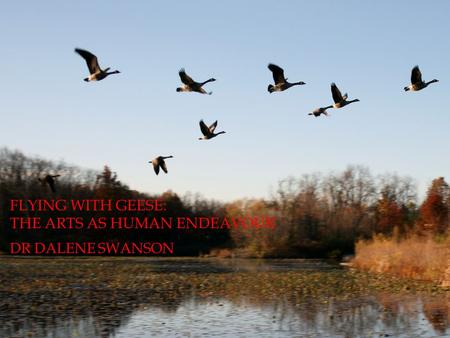 FLYING WITH GEESE: THE ARTS AS HUMAN ENDEAVOUR DR DALENE SWANSON.
