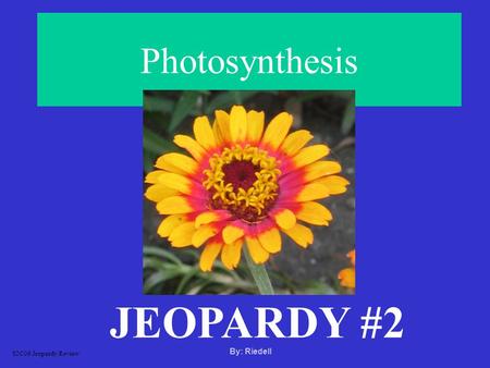 Photosynthesis JEOPARDY #2 S2C06 Jeopardy Review By: Riedell.