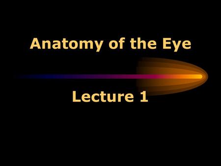 Anatomy of the Eye Lecture 1 Anatomy of the Eye 1. *The conjunctiva is a clear membrane covering the white of the eye (sclera). 2. *The sclera is the.