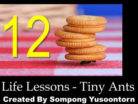 12 Life Lessons - Tiny Ants Created By Sompong Yusoontorn.