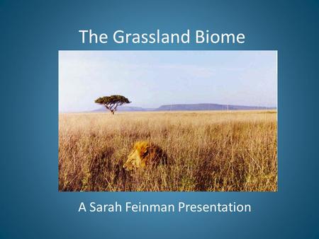 The Grassland Biome A Sarah Feinman Presentation.