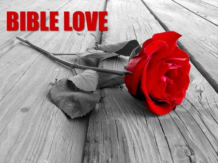 BIBLE LOVE. “God is love…” 1 John 4.7-8 English ~ 1 word, used many ways Greek ~ 4 words translated “love” in English.