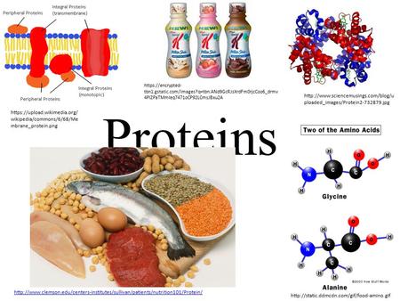 Proteins https://upload.wikimedia.org/ wikipedia/commons/6/68/Me mbrane_protein.png