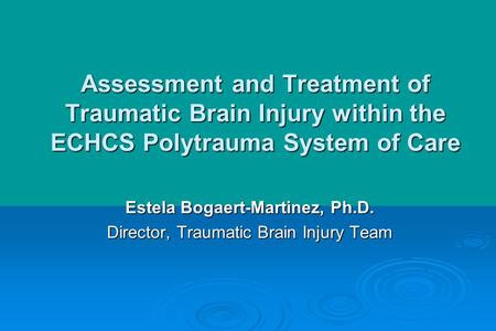 Assessment and Treatment of Traumatic Brain Injury within the ECHCS Polytrauma System of Care Estela Bogaert-Martinez, Ph.D. Director, Traumatic Brain.