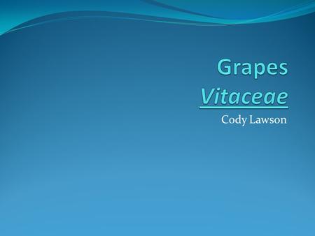 Cody Lawson. Vitaceae Genus: Vitis Vinifera Grows on vines Fruiting Berry.