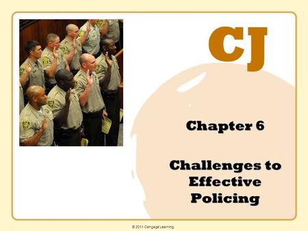 Chapter 6 Challenges to Effective Policing