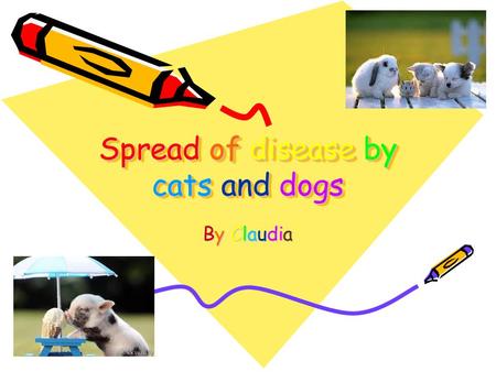 Spread of disease by cats and dogs Spread of disease by cats and dogs By Claudia.