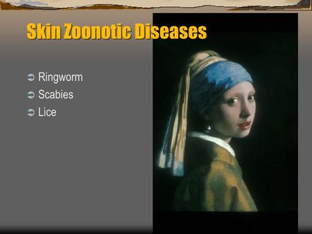 Skin Zoonotic Diseases  Ringworm  Scabies  Lice.