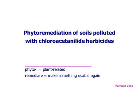 Phytoremediation of soils polluted with chloroacetanilide herbicides phyto- = plant-related remediare = make something usable again Portoroz 2005.