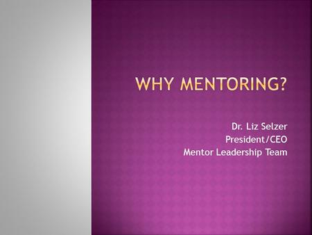 Dr. Liz Selzer President/CEO Mentor Leadership Team.
