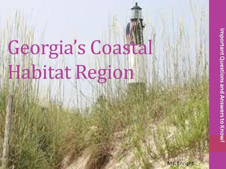 Georgia’s Coastal Habitat Region