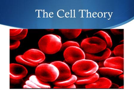 The Cell Theory. Some Random Cell Facts  The average human being is composed of around 100 Trillion individual cells!!!  It would take as many as 50.